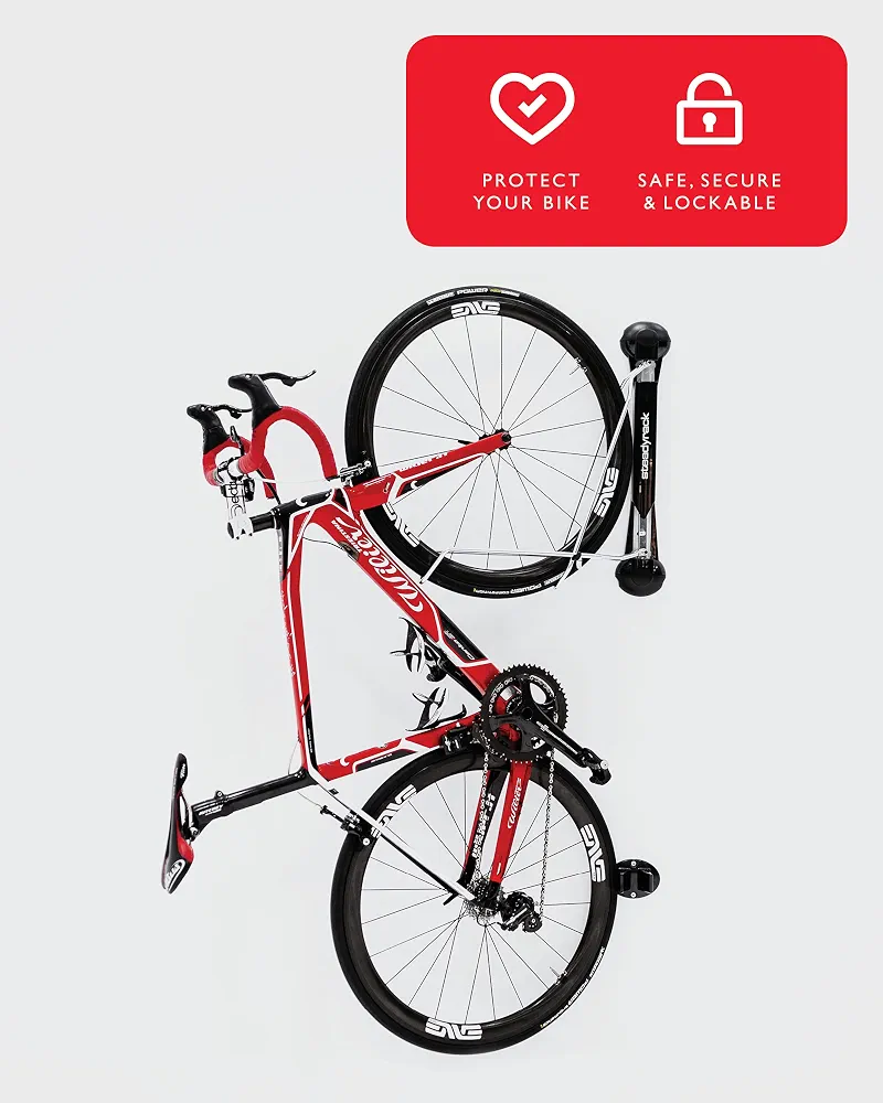 Steadyrack Bike Rack View 5